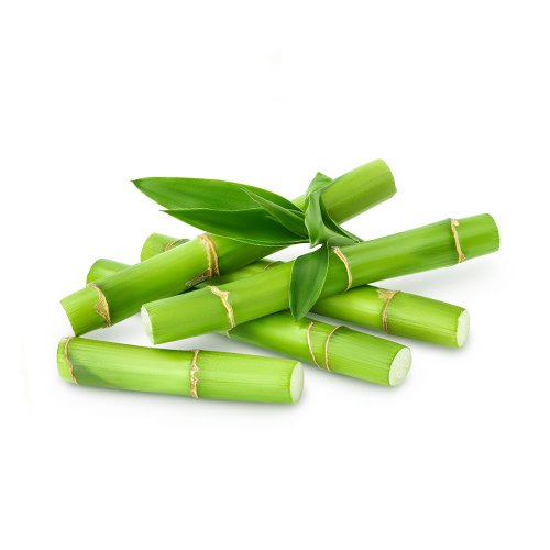Bambus Extrakt