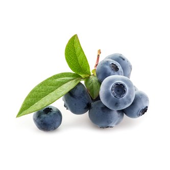 Wild Bluberry