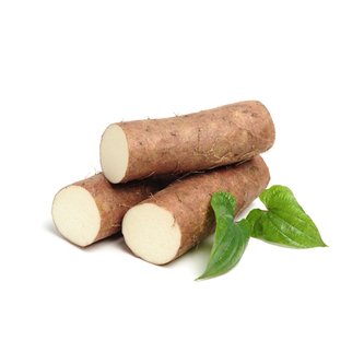 Yam Root Extract