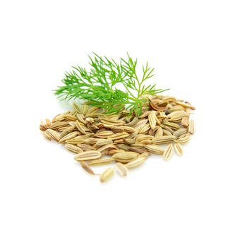 Fennel Seed Extract