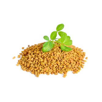 Fenugreek Seed Extract